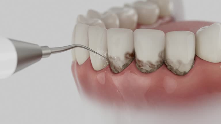 Reliable Dental contractor in Lake Lotawana, MO by Dentist Open Now